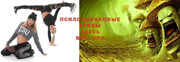 молекула духа Бугульма