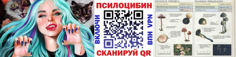 darknet состав Лянтор Галлюциногенные грибы мухоморы наркошоп KRAKEN ССЫЛКА